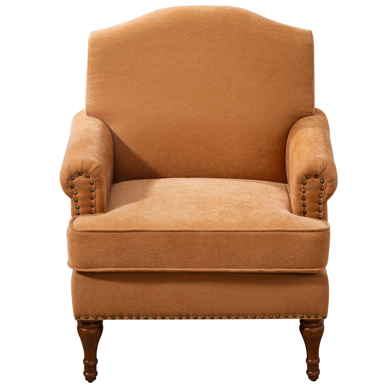 Pefelife Accent Chair Nailhead Chenille Trim Armchair with Wood Legs